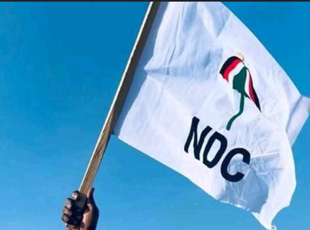 NDC suspends four executives in Ashanti Region, refers them to disciplinary committee