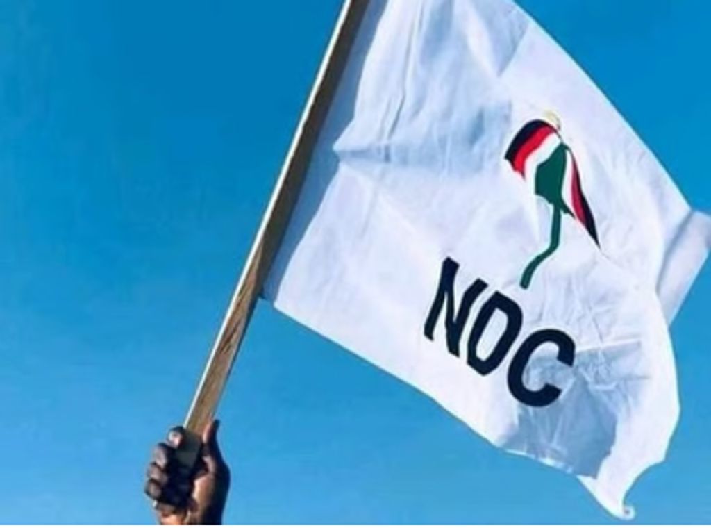 'If we speak, it will be messy’ – Ex-NDC MP laments internal wrongs