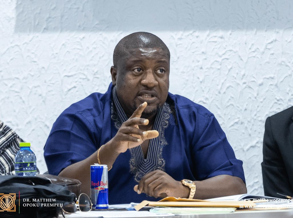 NPP's decision for early flagbearer election aims to foster party unity – Nana B