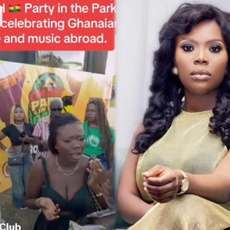 Delay questions Moliy over fear of appearing on her show during the Ghana Party in the park encounter
