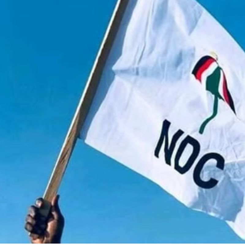 'If we speak, it will be messy’ – Ex-NDC MP laments internal wrongs