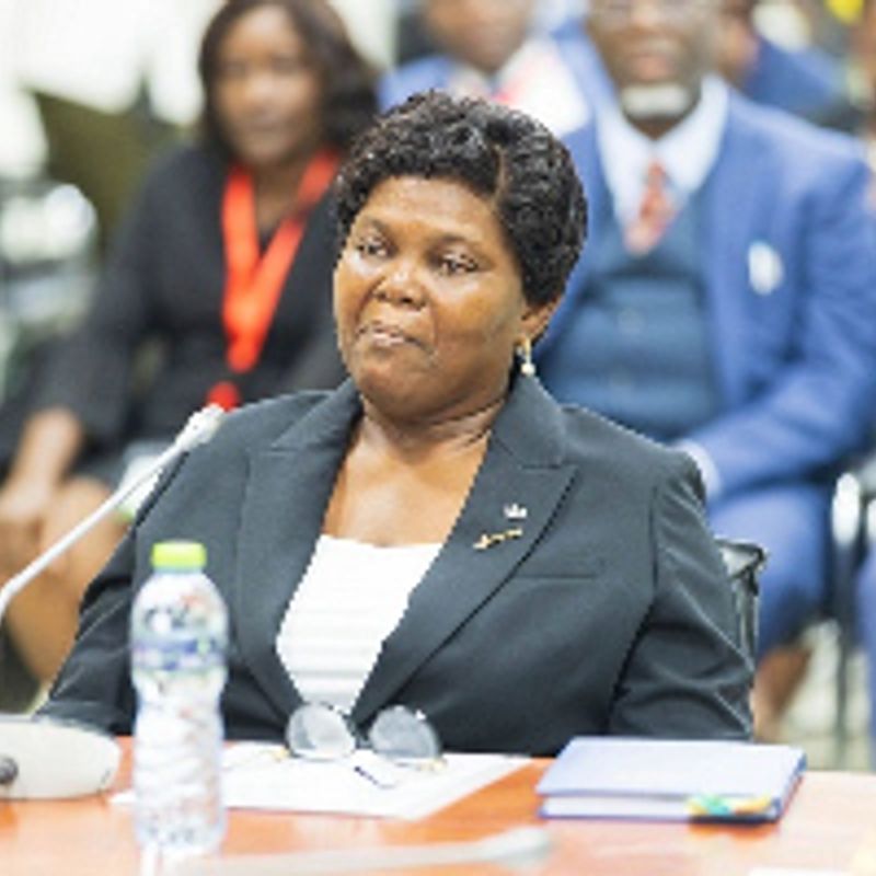 No third term for Mahama, constitution is clear Supreme Court judge nominee 