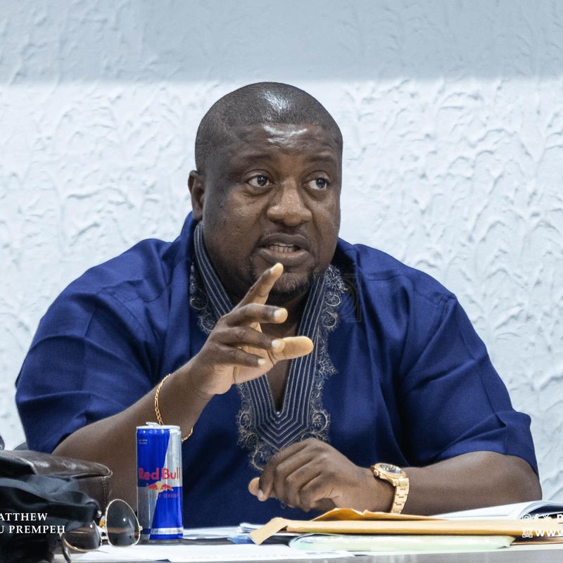 NPP's decision for early flagbearer election aims to foster party unity – Nana B